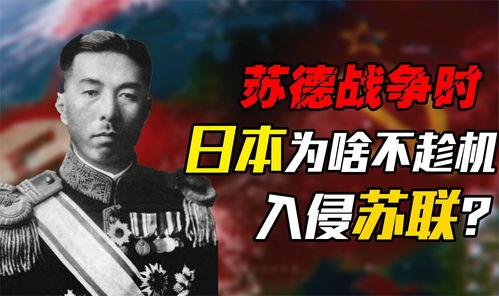 德国vs日本爆料视频,揭秘赛场背后的精彩瞬间